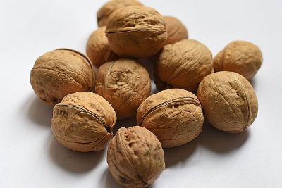 石墙薄皮核桃