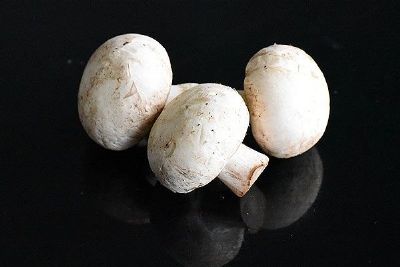 邹城双孢菇