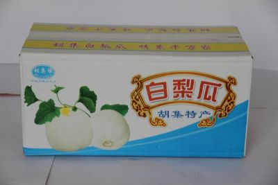 金乡白梨瓜