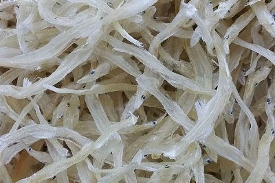 潍河银鱼