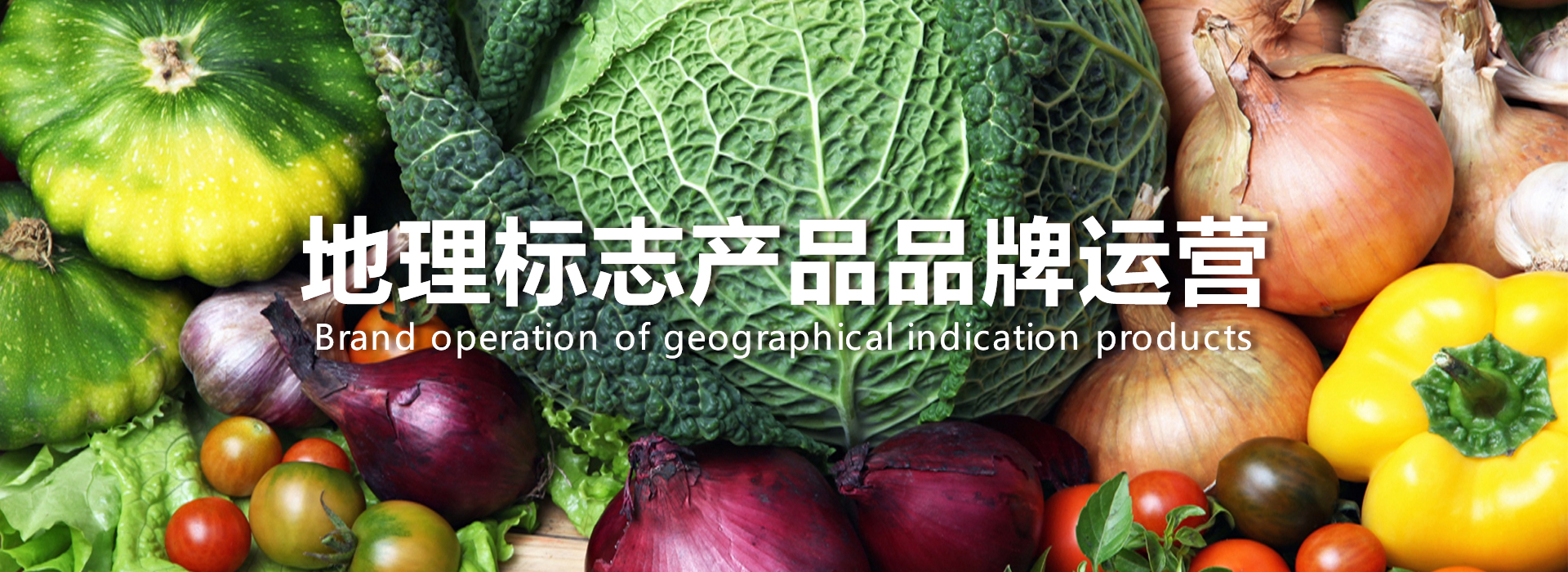 地理标志产品运营.jpg